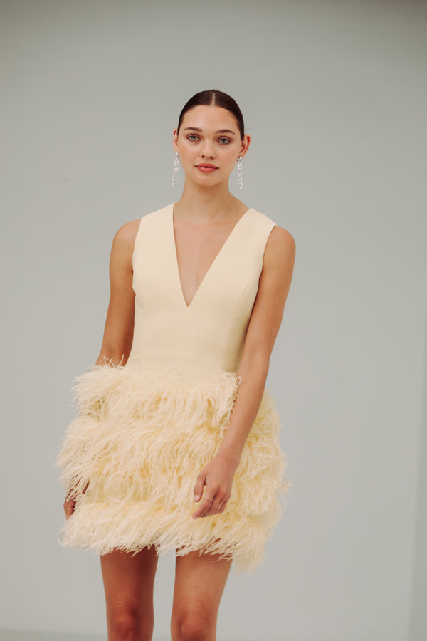 V Neck Tiered Feather Mini Dress