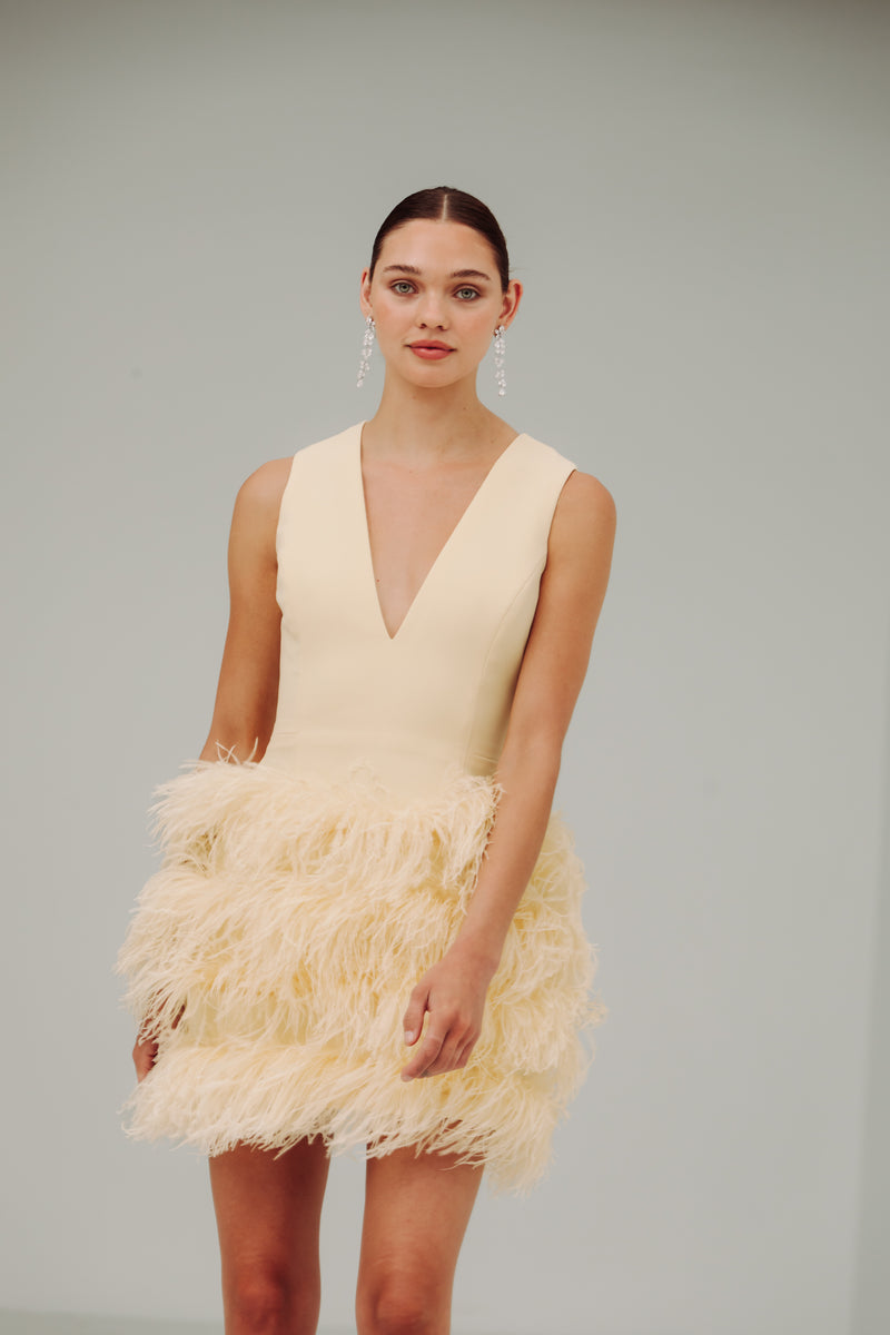 V Neck Tiered Feather Mini Dress