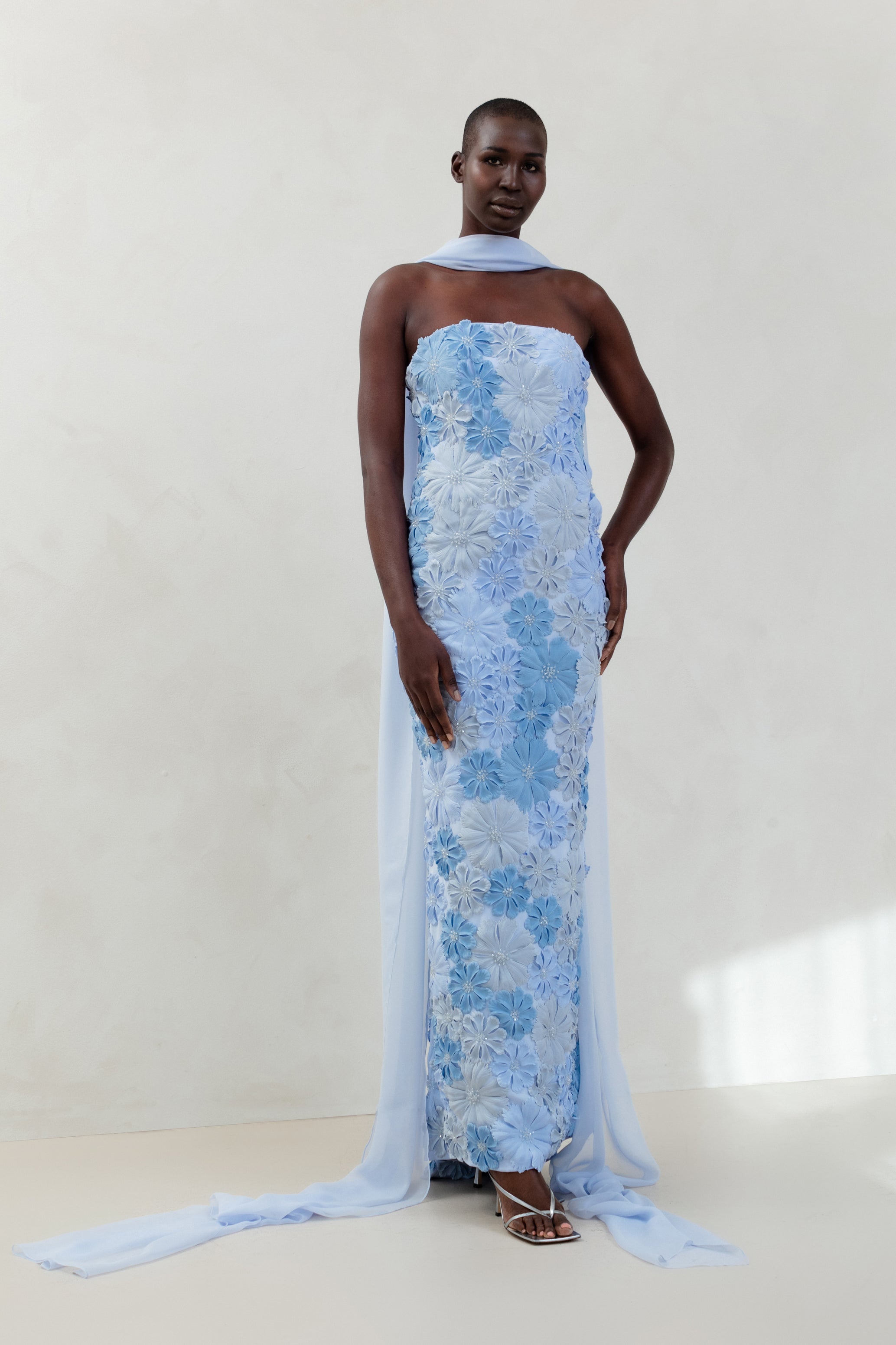Catherine Regehr Strapless Back Drape Gown with Gem Neck