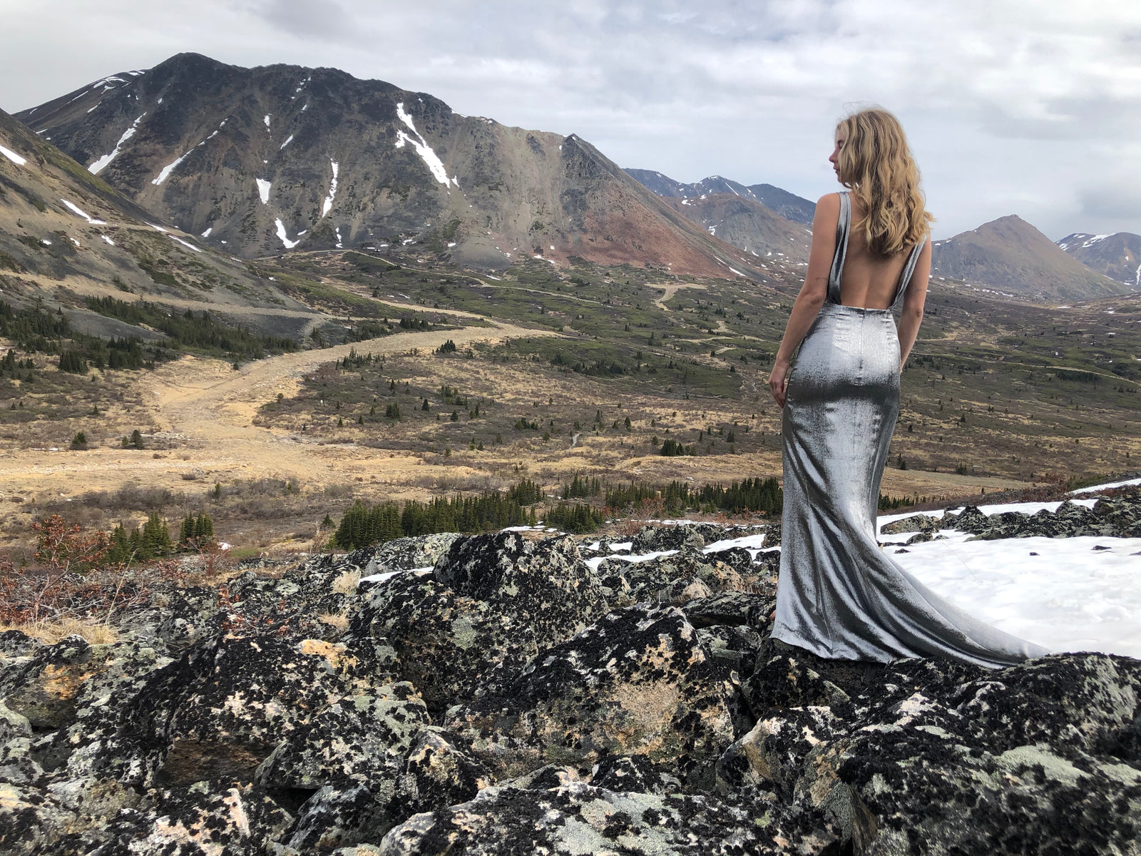 Silver Lamé Emilia Sheath – Catherine Regehr